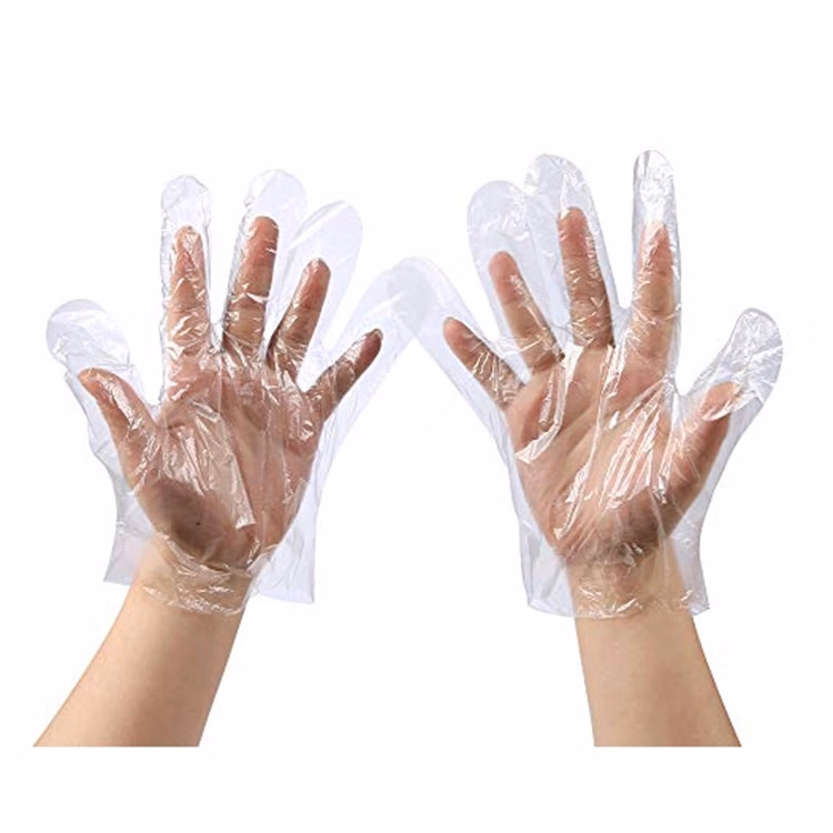 Disposable PE Gloves 2pcs In The Pack