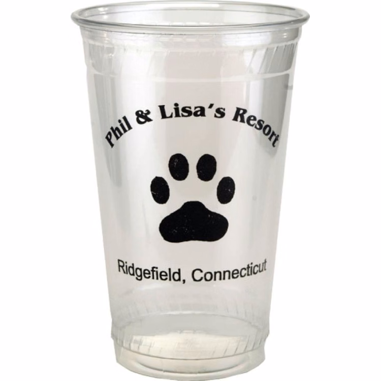 20 oz. Eco-Friendly Cup