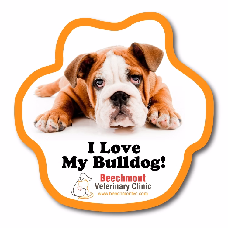 Outdoor Fade Resistant Vinyl Paw Decal & Booster