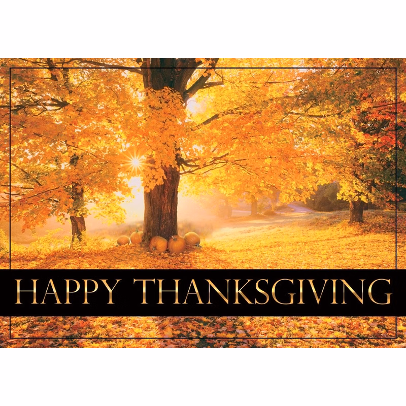 Maple Splendor Thanksgiving Card