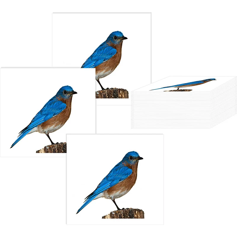 2" x 2" Custom Temporary Tattoos 1