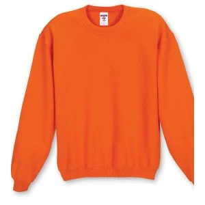 Embroidered Jerzees Adult Long Sleeve Colored Crew Neck Sweatshirt, custom hoodie or sweatshirt with logo imprint 1