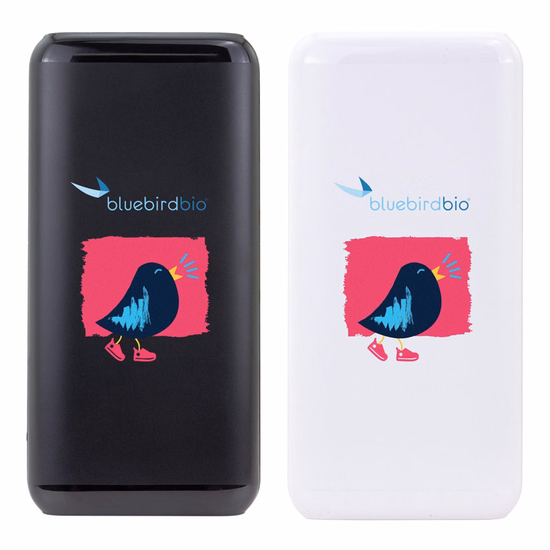10,000 mAh Power Bank