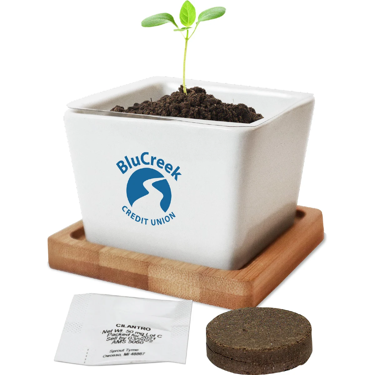 Ceramic Planter 1