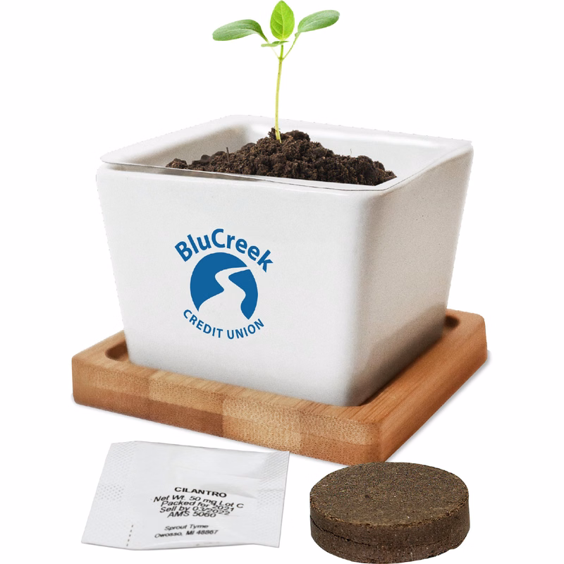 Ceramic Planter