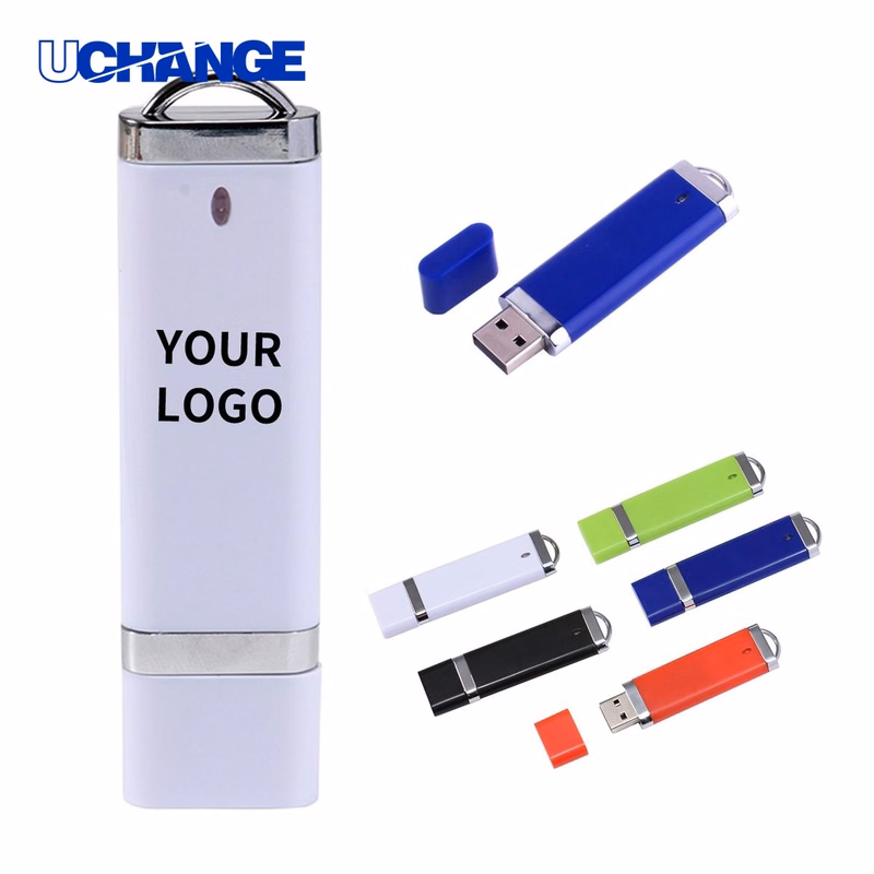 Rectangle USB Memory Stick Storage 2 Gigabyte Plastic Shell 3"