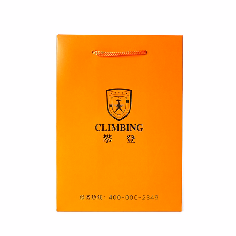210g C1S paper bag with foil imprint on all sides (8.25*10.5*4")