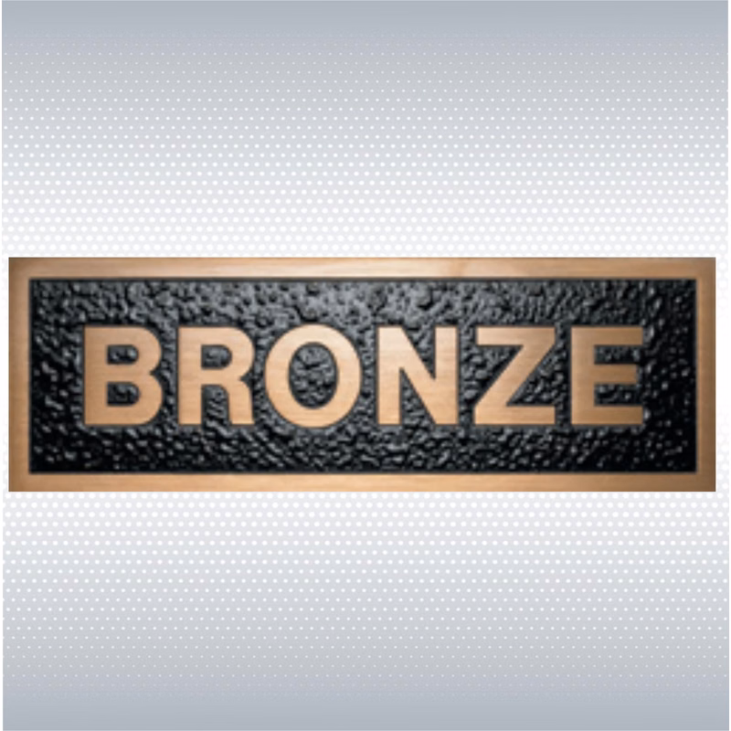 8" x 3" Custom Bronze Plaque
