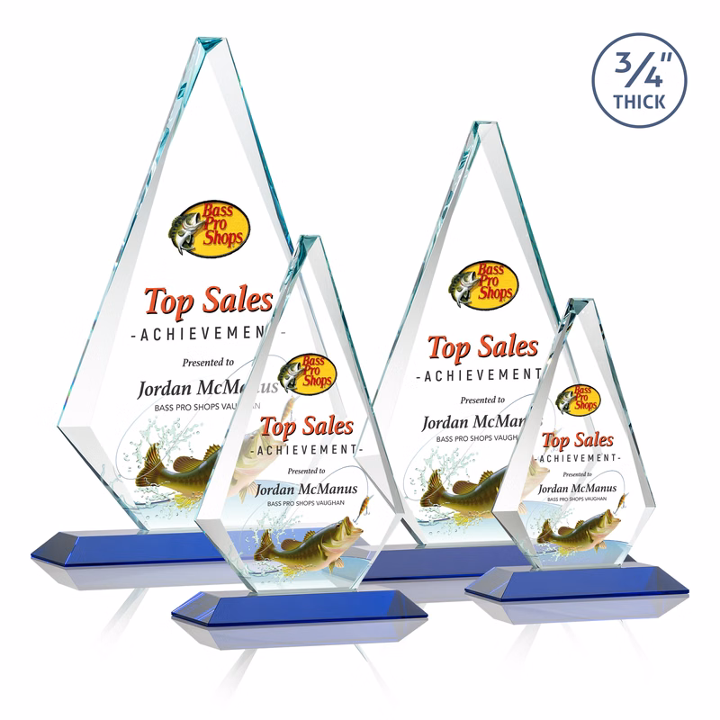 Windsor VividPrint™ Award - Blue
