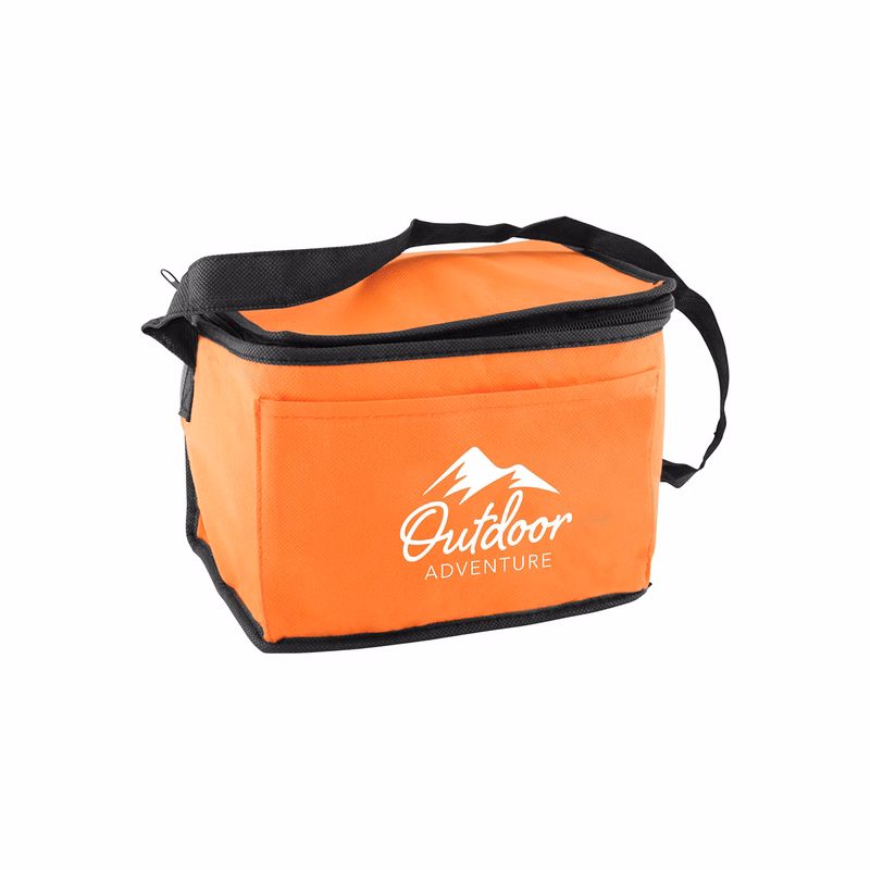 6 Pack Non-Woven Lunch Cooler Bag