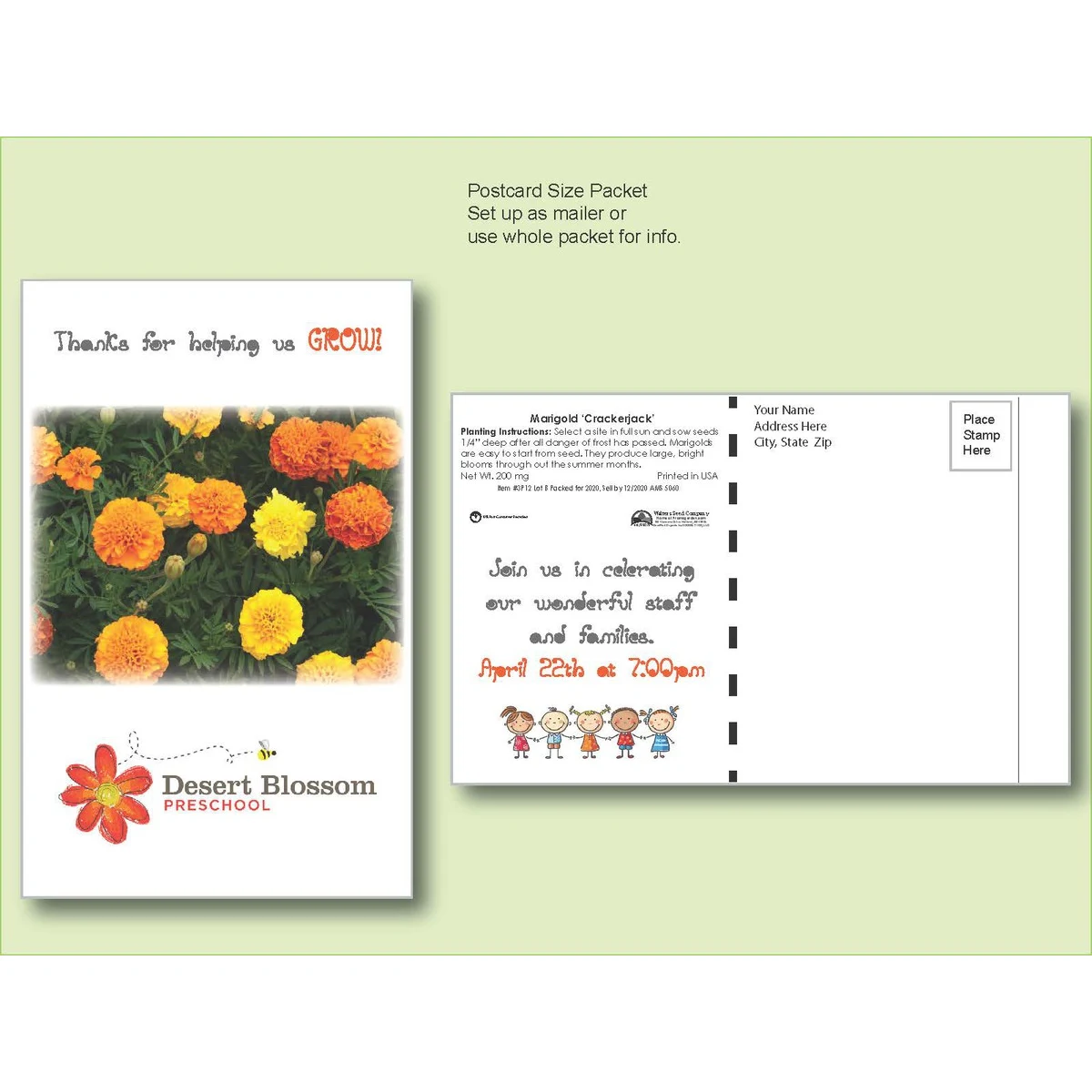 Marigold Flower Seed Packet - Postcard Mailer Size 4" x 6.5" 1