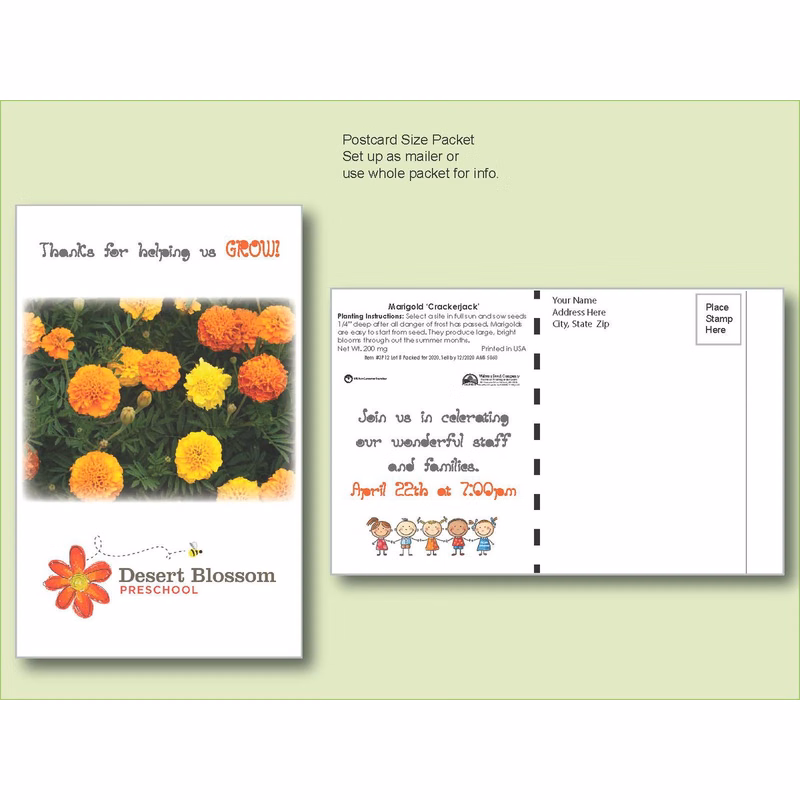 Marigold Flower Seed Packet - Postcard Mailer Size 4" x 6.5"