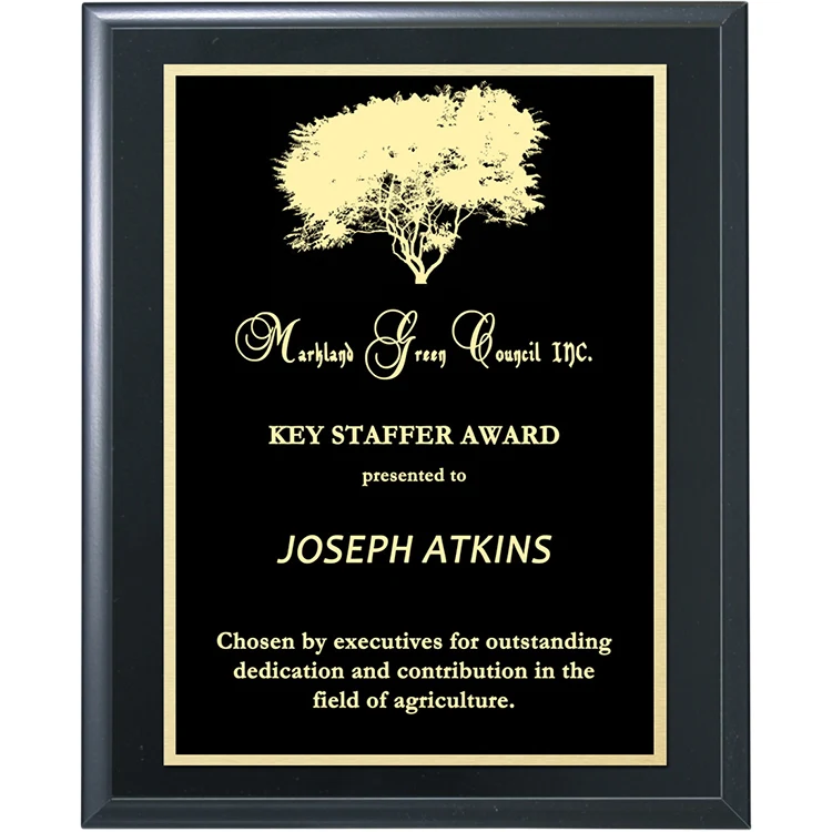 Double Plate Lasered Plaque-Black 1