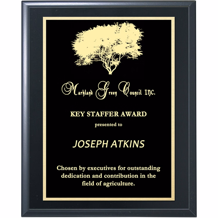 Double Plate Lasered Plaque-Black