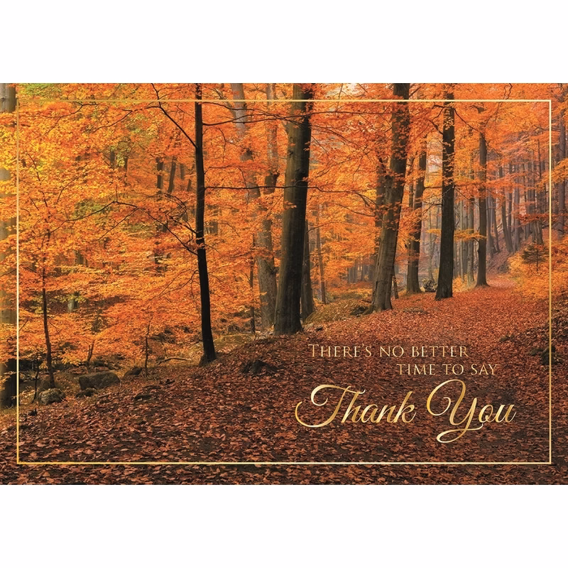 Woodland Gratitude Thanksgiving Cards