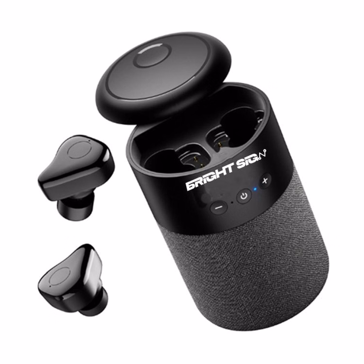 2 in 1 Wireless Earbuds And Speaker