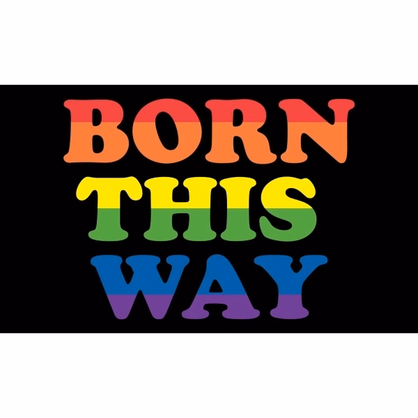 Born This Way Antenna Flag