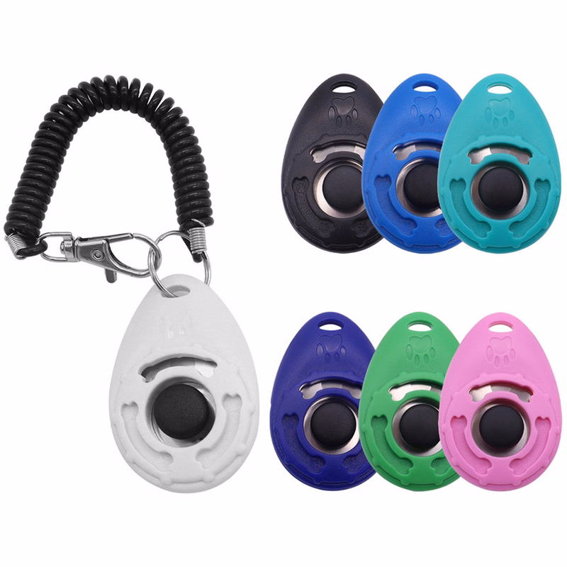 Dog Training Controller