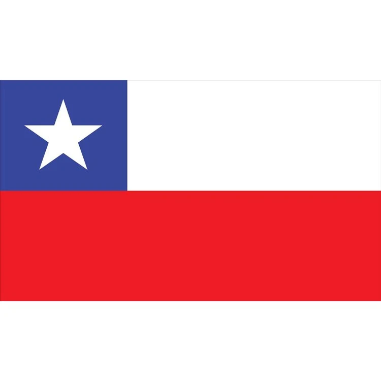 Chile Flag - 3' x 5' - Nylon 1