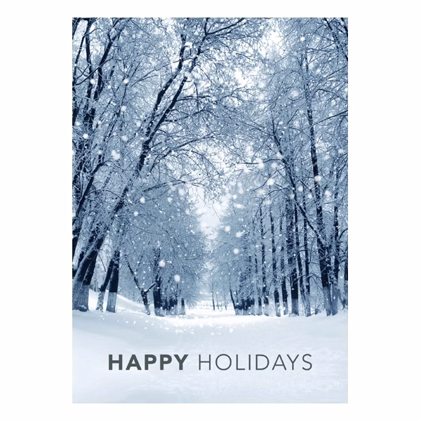 Snowy Winter Path Holiday Greeting Card
