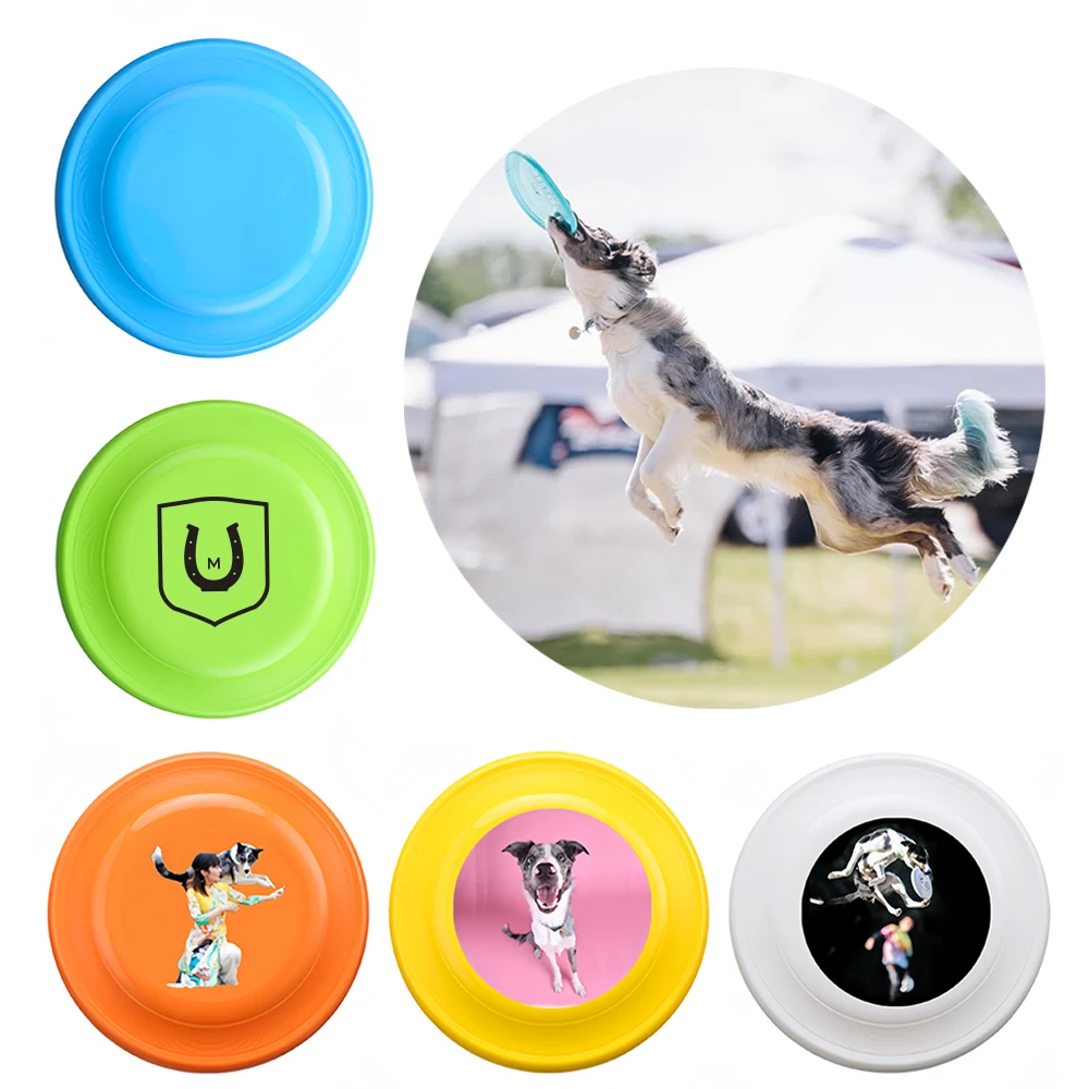 Frisbees For Large Dogs 1