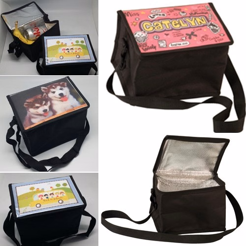 Foldable Insulated Lunch Tote