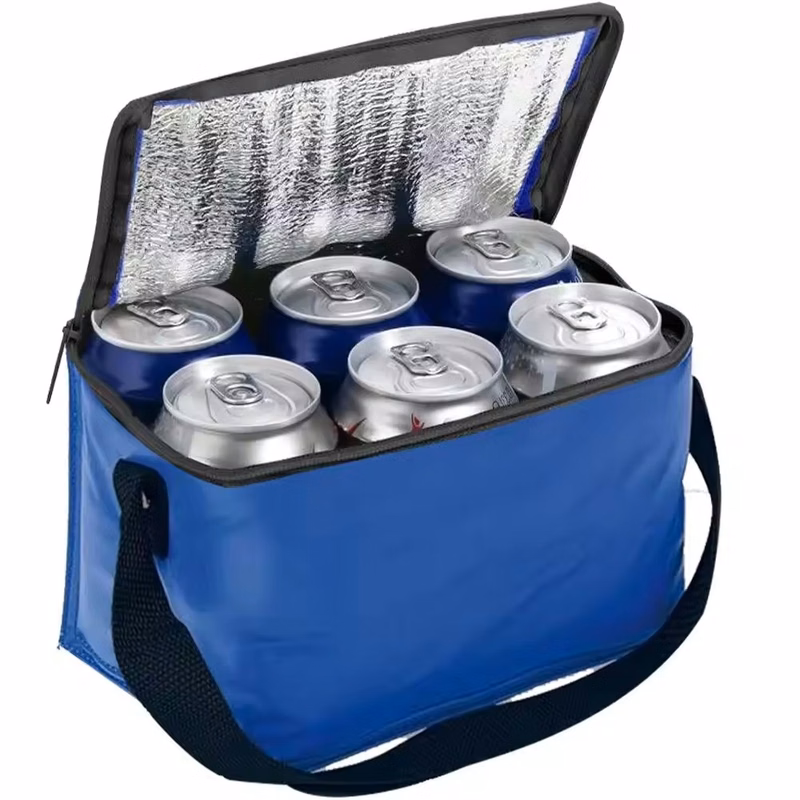 6 Packs Cooler Lunch Bags