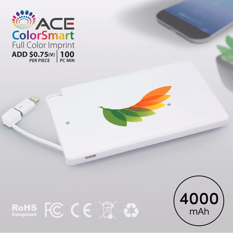 Dartmouth - 4000 mAh SLIM PORTABLE POWER BANK WITH CABLE