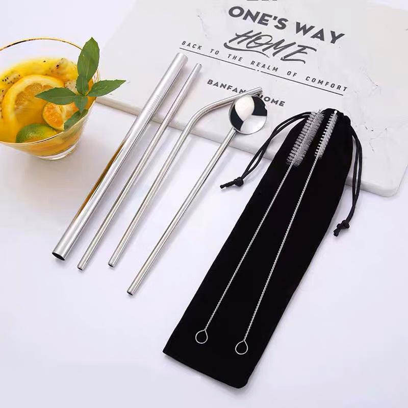 Reusable Stainless Steel Metal Straws with Case