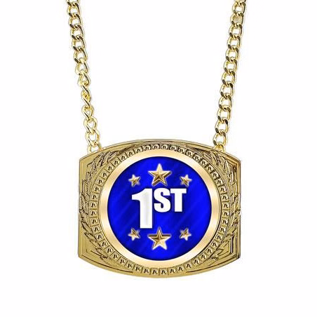 Medallion Holder: 4 x 3.6" Metal Champ Chain w/ (E