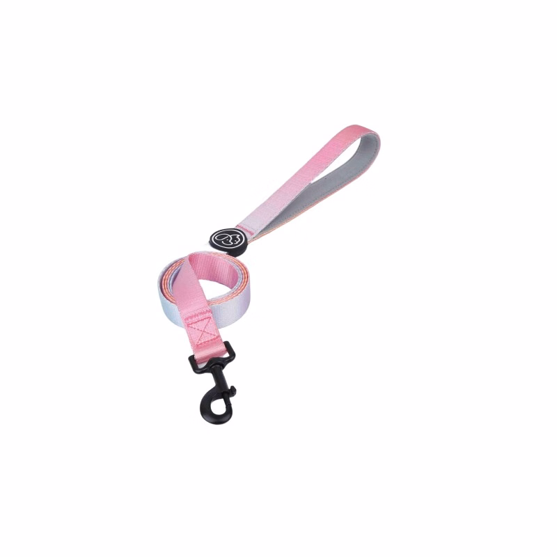 Pet Leash with Padded Neoprene Handle-Medium