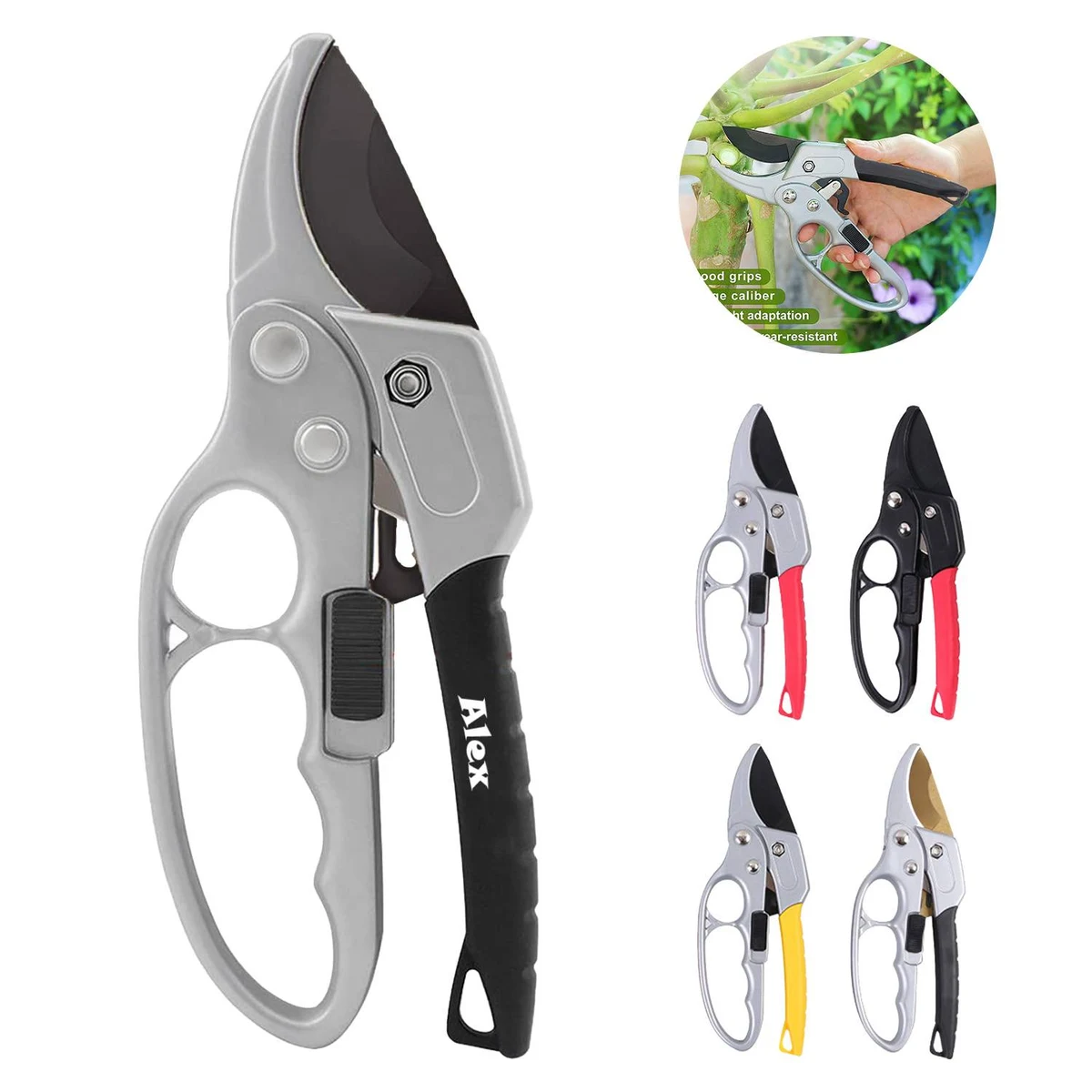 Pruning Shears for Garden 1