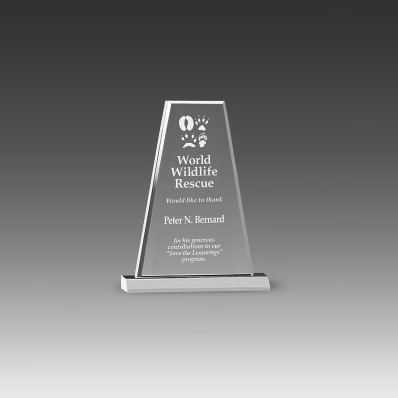 Premium Prism Award (6"x6")