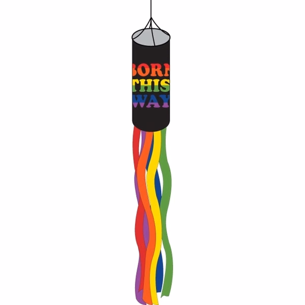 Born This Way Windsock