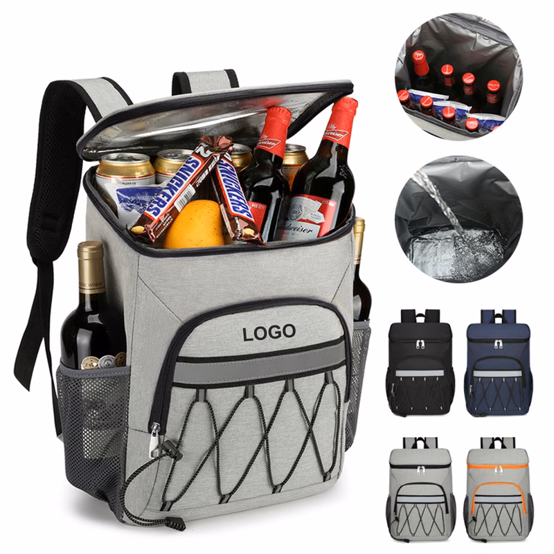 Fashionable Cooler Backpack (direct import)