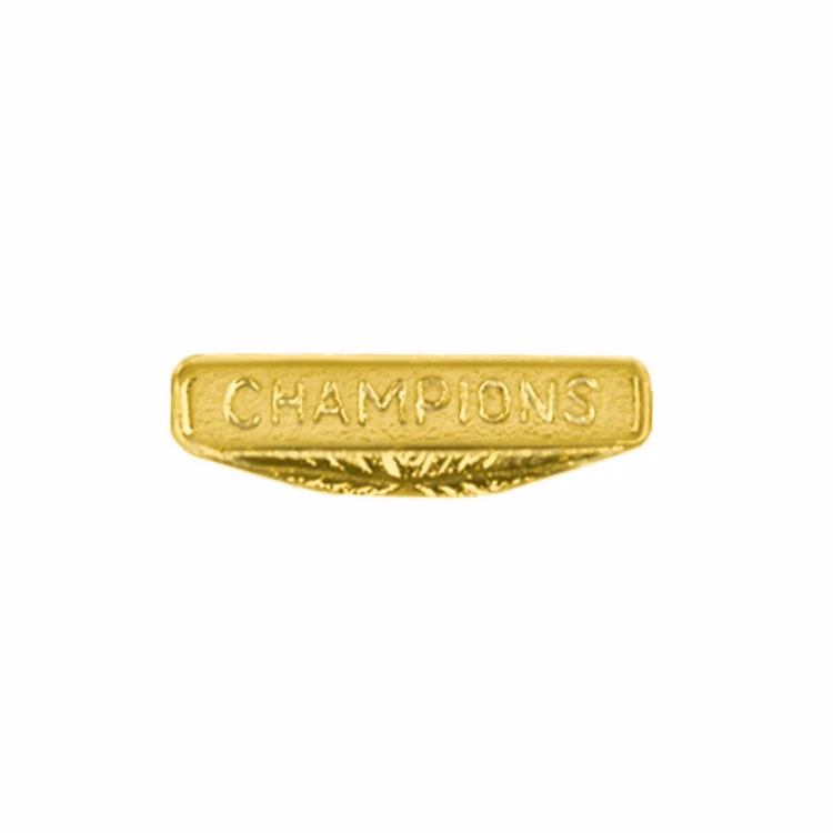 Champions Bright Gold Chenille Lapel Pin
