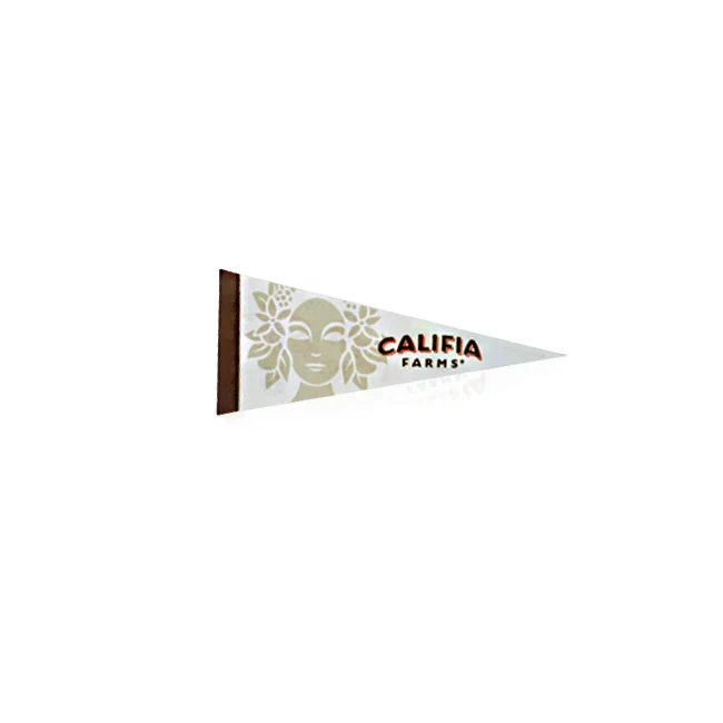 Small Full-Color Pennants, custom award with logo imprint 1