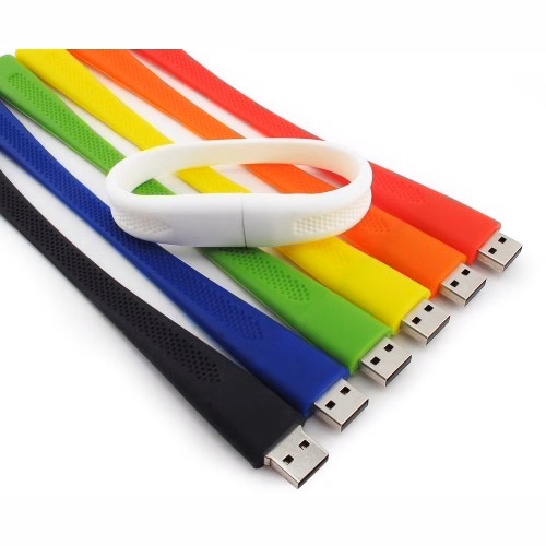 16GB Wristband 100 Series-GS