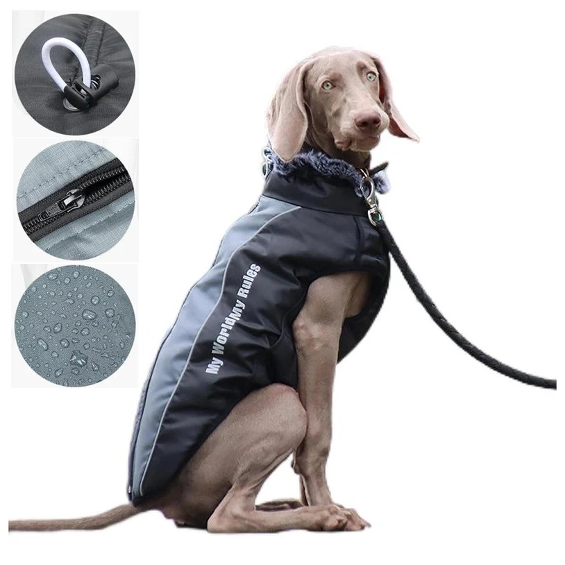 Warm Dog Jackets 1