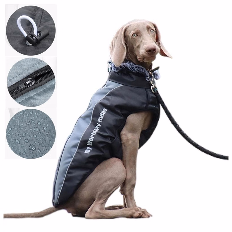 Warm Dog Jackets