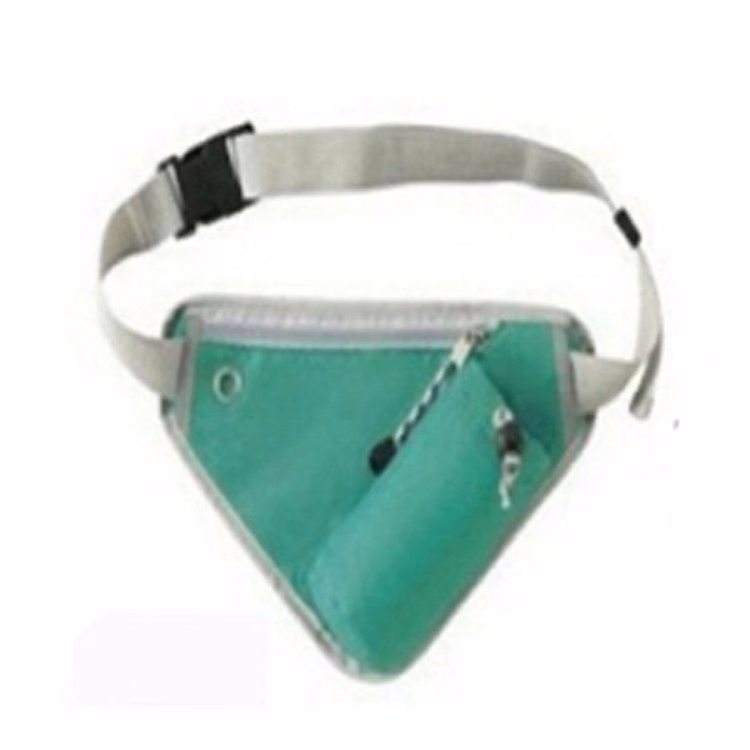 Triangle Backpack / Waist Bag