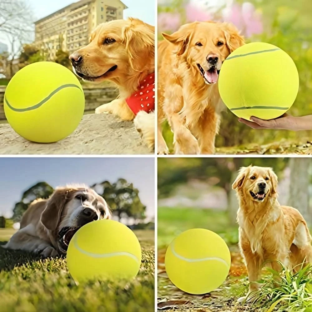 Pet Tennis Balls for Dogs 1