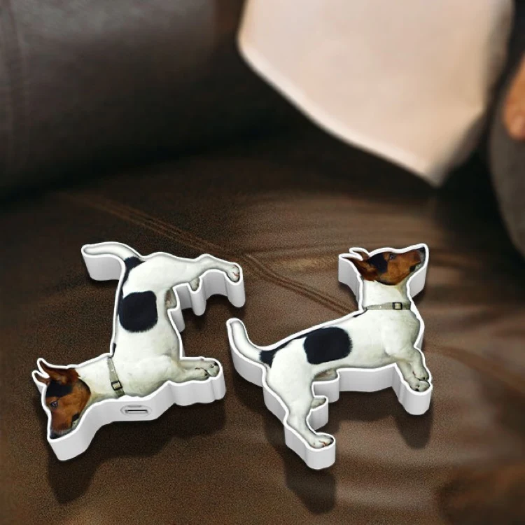 Custom Terrier Charger 1