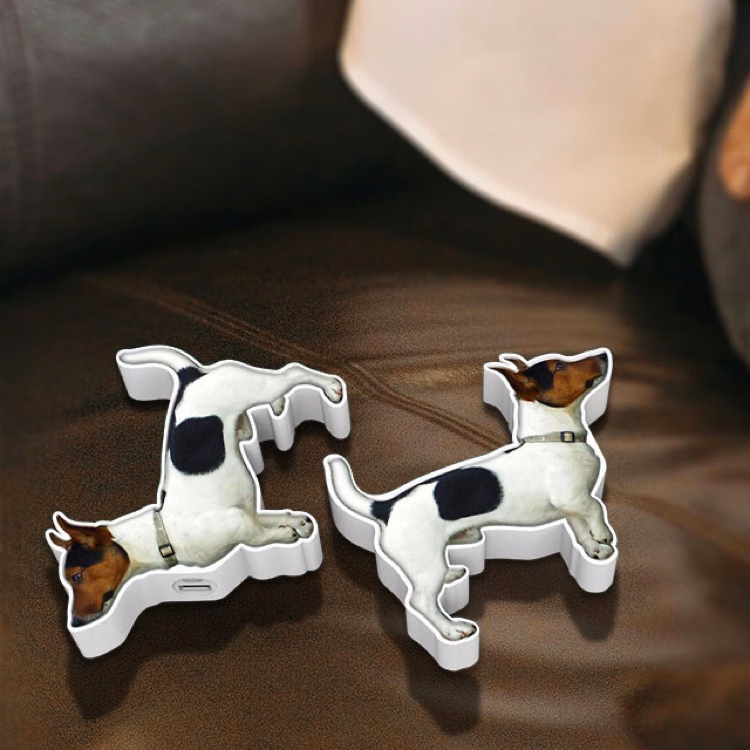 Custom Terrier Charger
