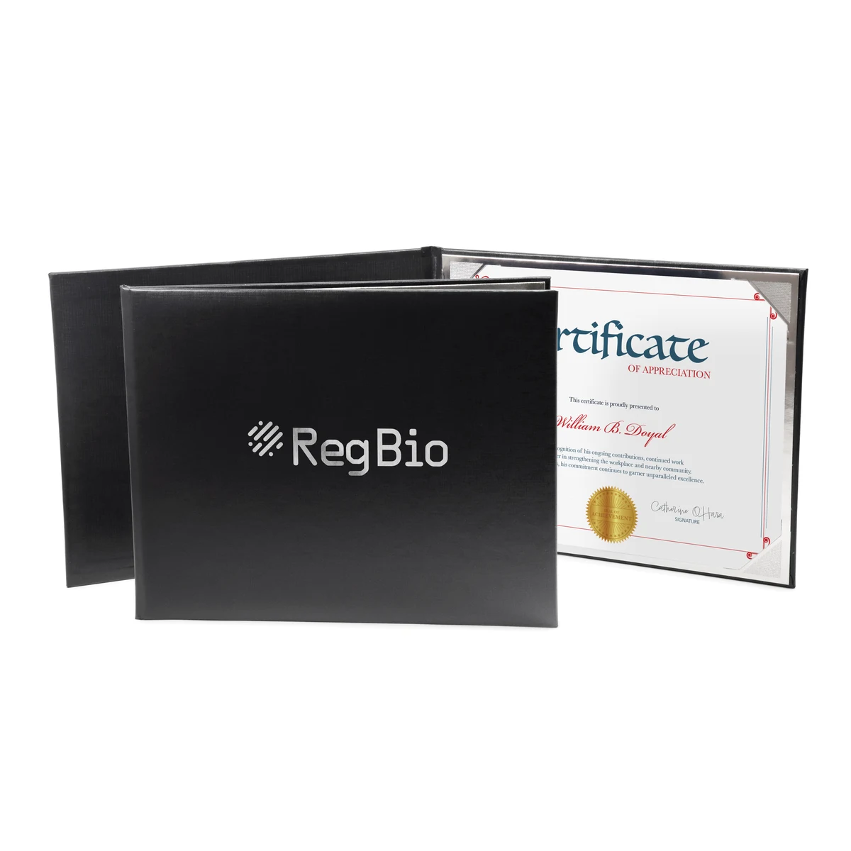 Deluxe Padded Single 8" x 10" Certificate Folder 1