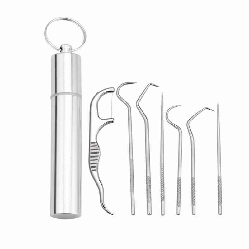 Portable Stainless Steel Toothpick Set - 7 Pieces