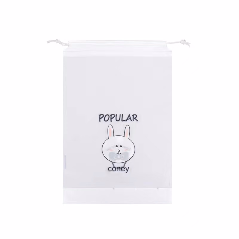 Frosted PE Drawstring Bag