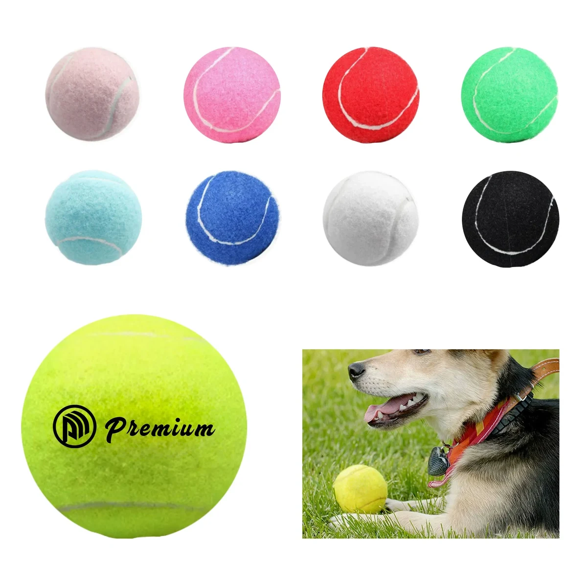 Pet Fetch Ball 1