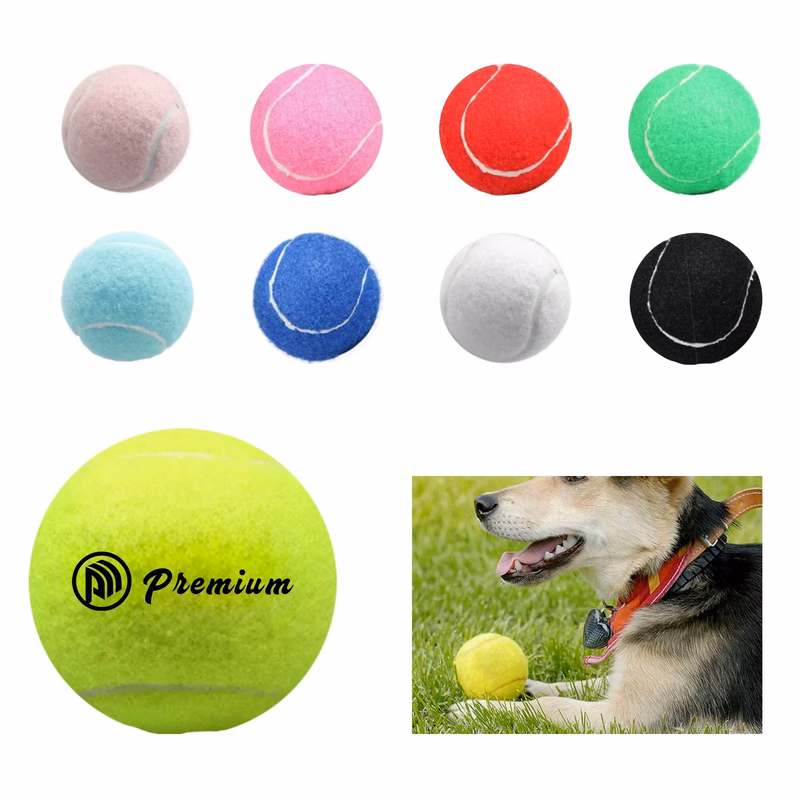 Pet Fetch Ball