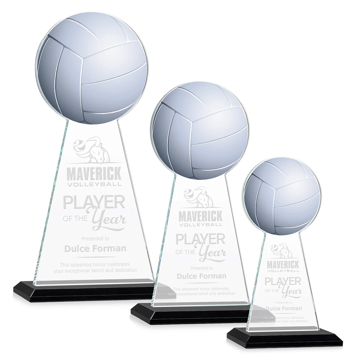 Edenwood Volleyball Award - Black 1
